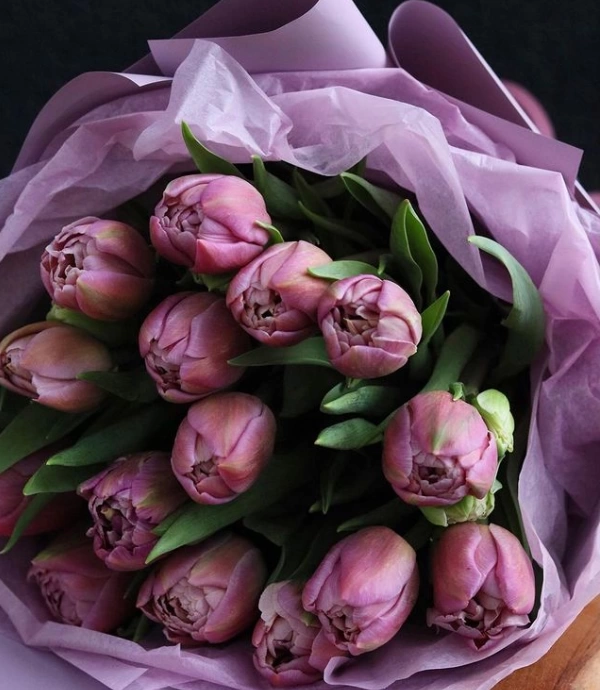 тюльпаны - дорогие цветы
